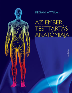 Az emberi testtartás anatómiája 3419 Az emberi testtartás anatómiája 3419